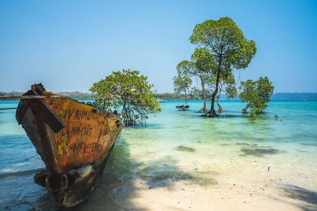 Pristine Andaman Beaches